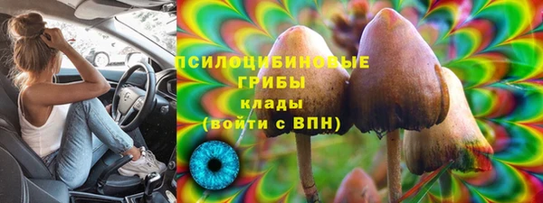 трава Армянск